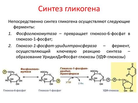 Регуляция гликогена в обучении и тренировочном процессе