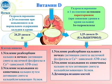 Регуляция обмена белков