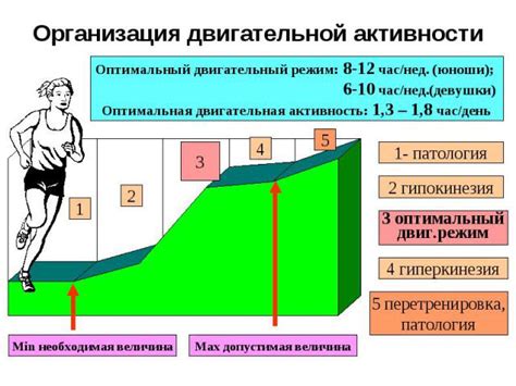 Режим активности