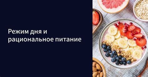 Режим дня и рациональное питание для повышения концентрации