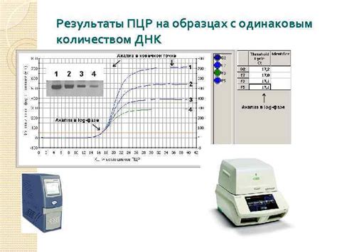 Результаты ПЦР-анализа