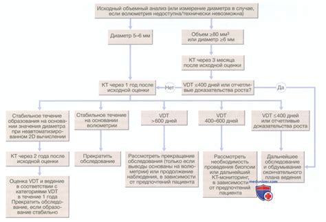 Результаты гомогенного образования в легком