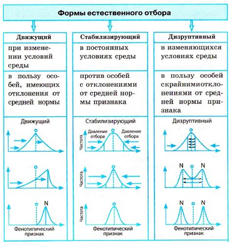 Результаты искусственного отбора