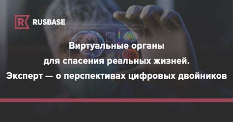 Результаты исследования о перспективах выдуманных жизней