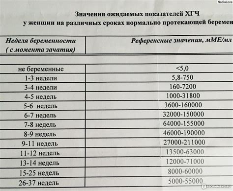 Результат ХГЧ 361: значение отрицательного результата