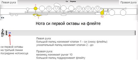 Рекомендации по выбору и игре на флейте с ми механикой