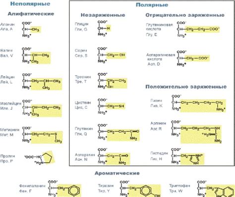 Рекомендации по повышению уровня лимитирующих аминокислот