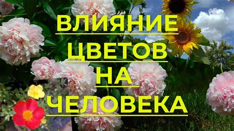 Рекреация на природе и ее благотворное воздействие