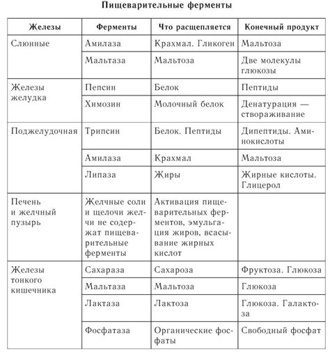 Реологические свойства желчи: понятие и значение