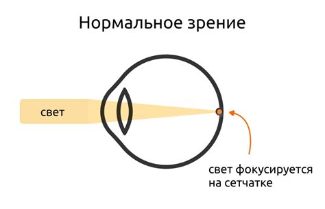 Рефракция глаза и ее роль в зрении: всего лишь поворот лучей света