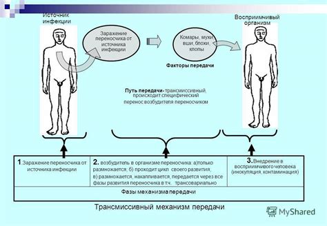 Риски передачи инфекционных заболеваний