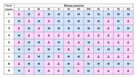 Рождение мальчиков и девочек в разные месяцы