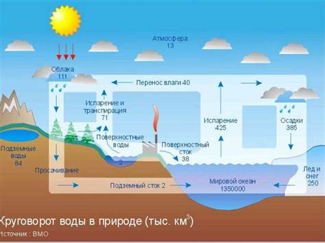 Ролевая вода в природе