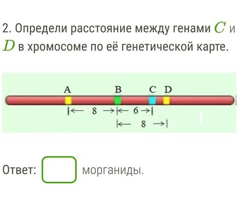 Роли и значения расстояний между генами в генетике