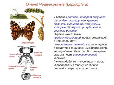 Роли репродуктивного органа