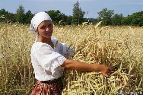 Роль Кубани в сельском хозяйстве России