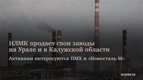 Роль НЛМК в экономике Калужской области