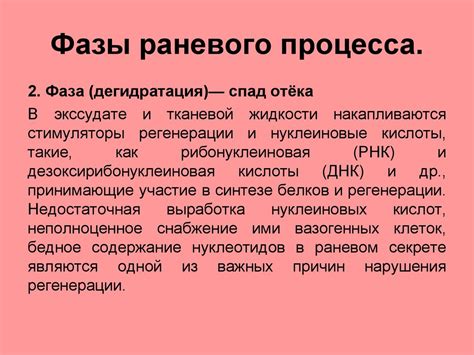 Роль антибиотиков в лечении гнойно-некротической фазы раневого процесса