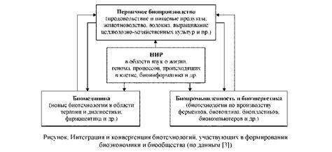 Роль версии в техническом плане