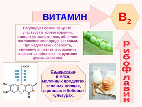 Роль витамина В2 в метаболических процессах