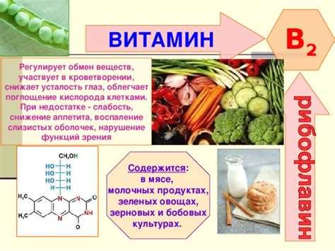 Роль витаминов и минералов в здоровом образе жизни