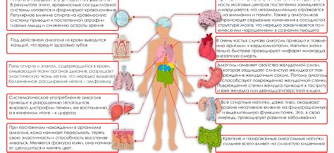 Роль водки в ухе на организм человека: негативные последствия