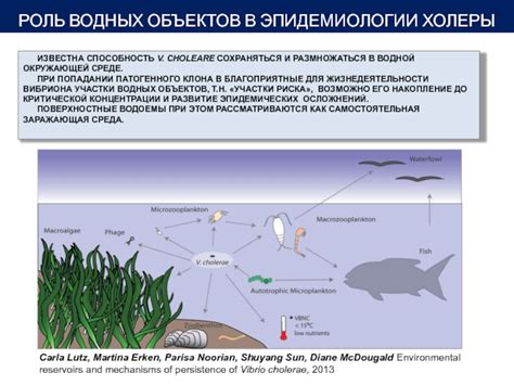 Роль водных объектов в рыбоводстве