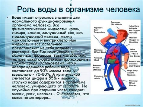 Роль водородной воды в медицине