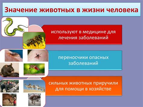 Роль воспитания у животных: влияние на поведение и жизнь