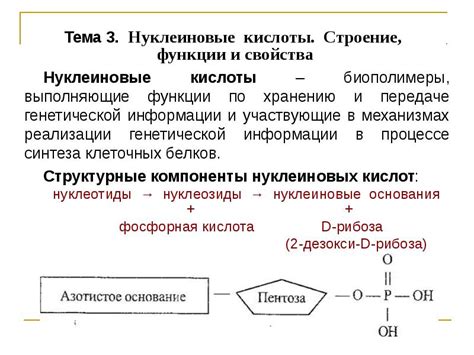 Роль в биологических процессах