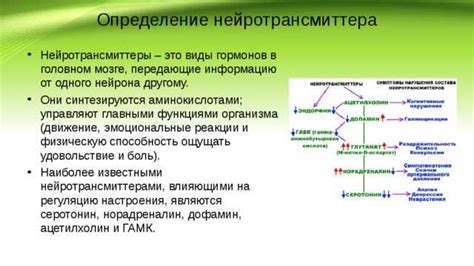 Роль в нейротрансмиссии