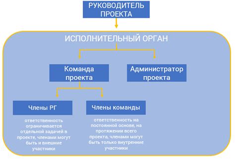 Роль в проекте