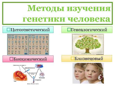 Роль генетики в общих науках о природе