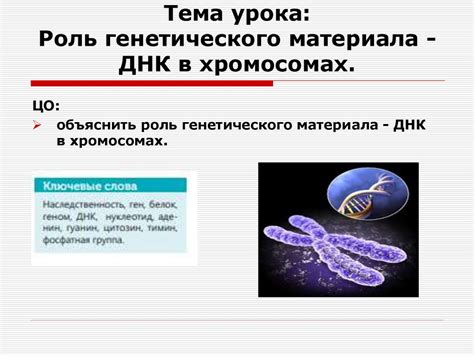 Роль генетического наследия в характерологии