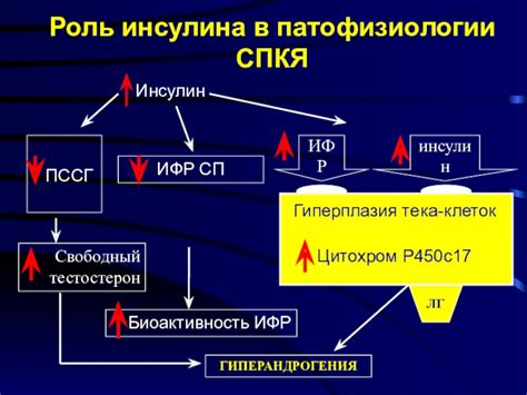 Роль глюкофажа в лечении поликистозных яичников