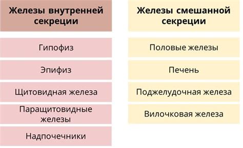 Роль гормонов в росте волос