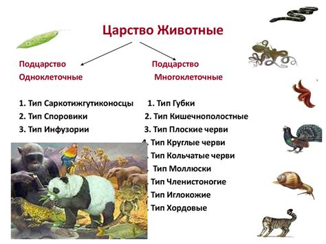 Роль животного начала в биологии