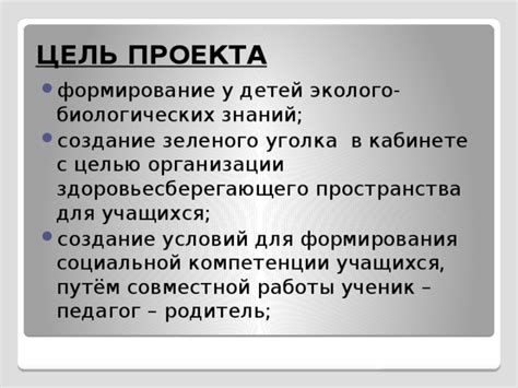 Роль зеленого уголка в организации данных