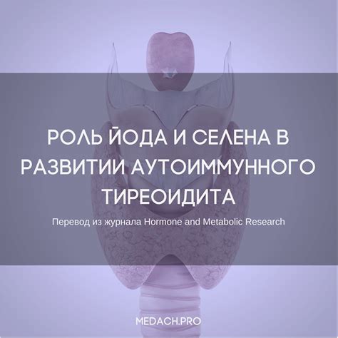 Роль иммунной системы в развитии аутоиммунного тиреоидита