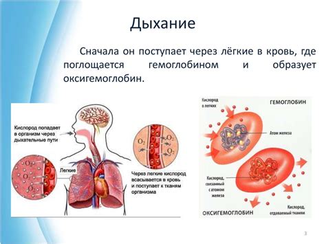 Роль иммунодепрессивного эффекта в организме