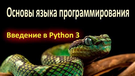 Роль интерпретатора в процессе разработки на Python