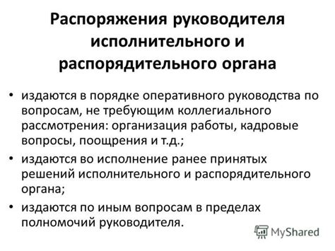 Роль и важность распорядительного органа в управлении