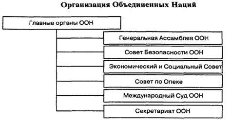 Роль и функции посла ООН