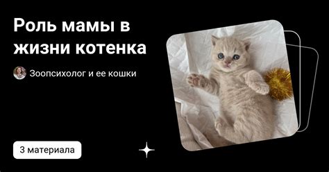 Роль котенка в сновидении