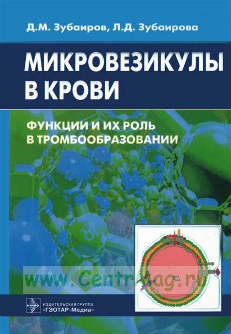 Роль кровотока в тромбообразовании