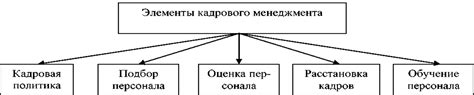 Роль менеджмента персонала в организации