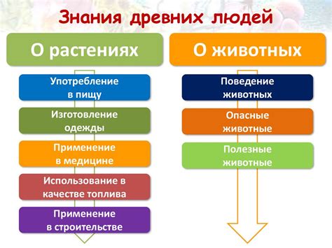 Роль меры в практической деятельности