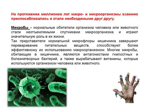 Роль микроорганизмов в образовании запаха