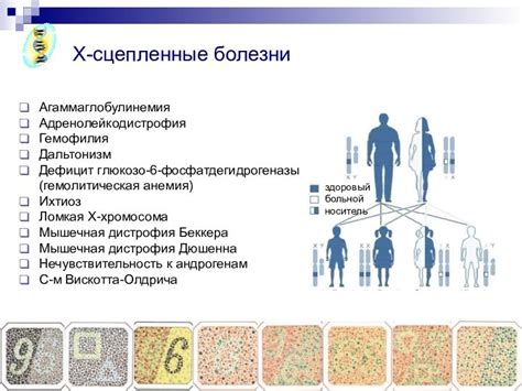 Роль наследственности в уровне СОЭ