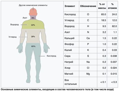 Роль нитритов в организме человека